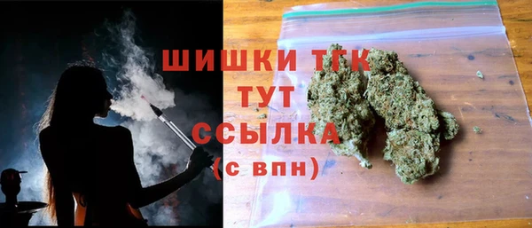 винт Гатчина