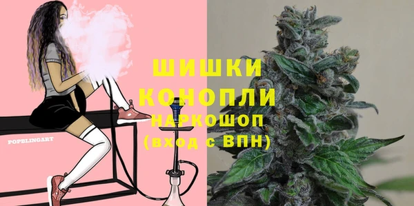 шишки Майский