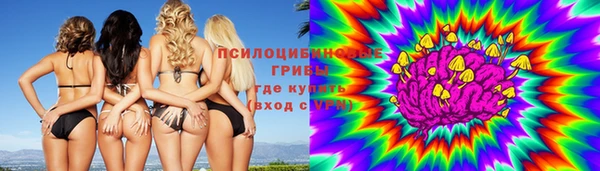 a pvp Лиски