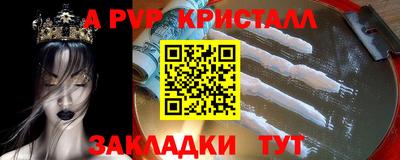 гидра Волгодонск
