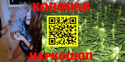 гидра Волгодонск