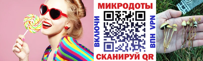 Псилоцибиновые грибы Psilocybine cubensis  Луховицы 