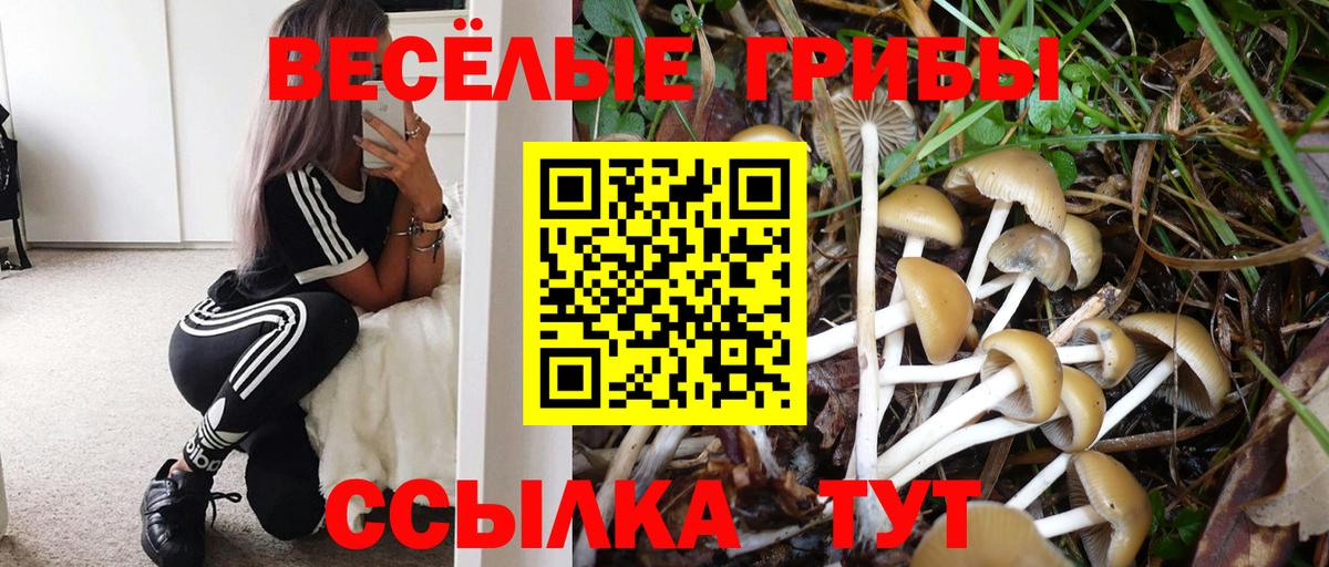 Луховицы  Псилоцибиновые грибы Magic Shrooms  Вход с VPN 